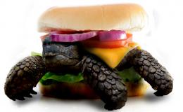 Kawa-Burger Dude Picture
